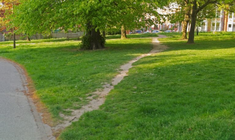 caminos del deseo